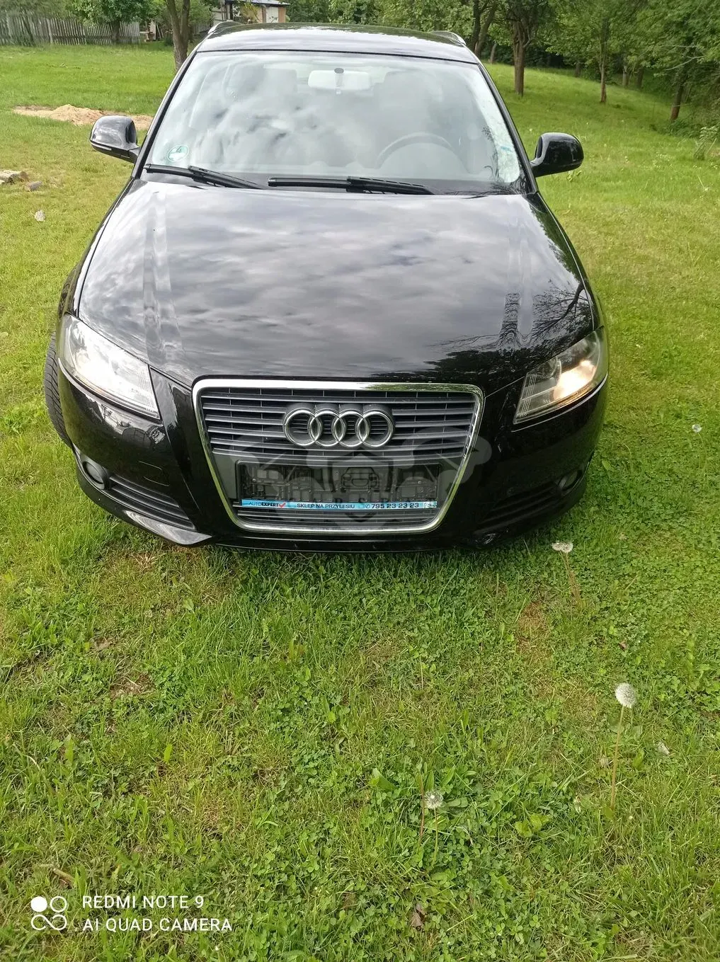 Audi A3 8P 2009