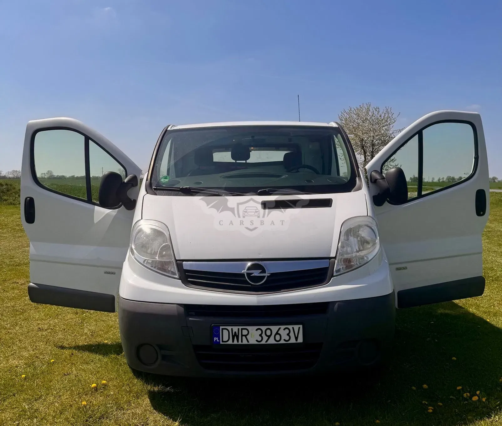 Opel Vivaro 2013