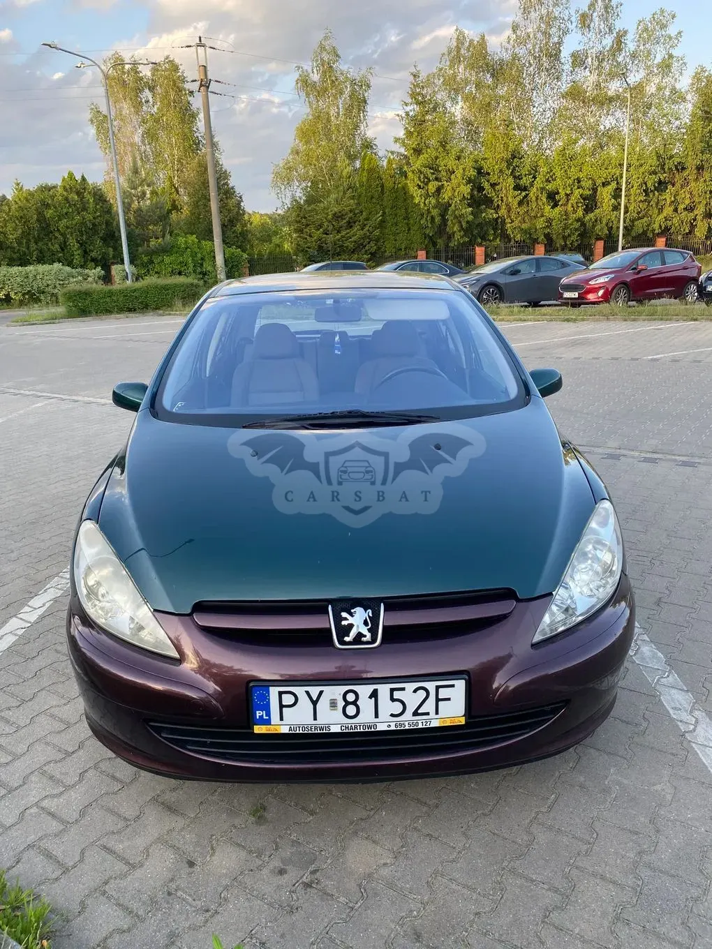 Peugeot 307 I 1.4 XR 2001