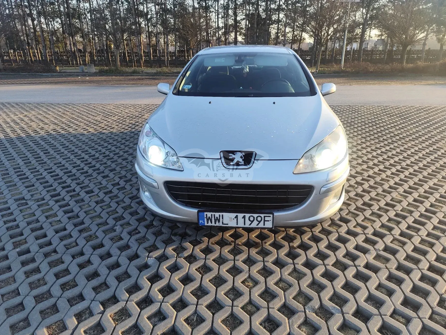 Peugeot 407 2007