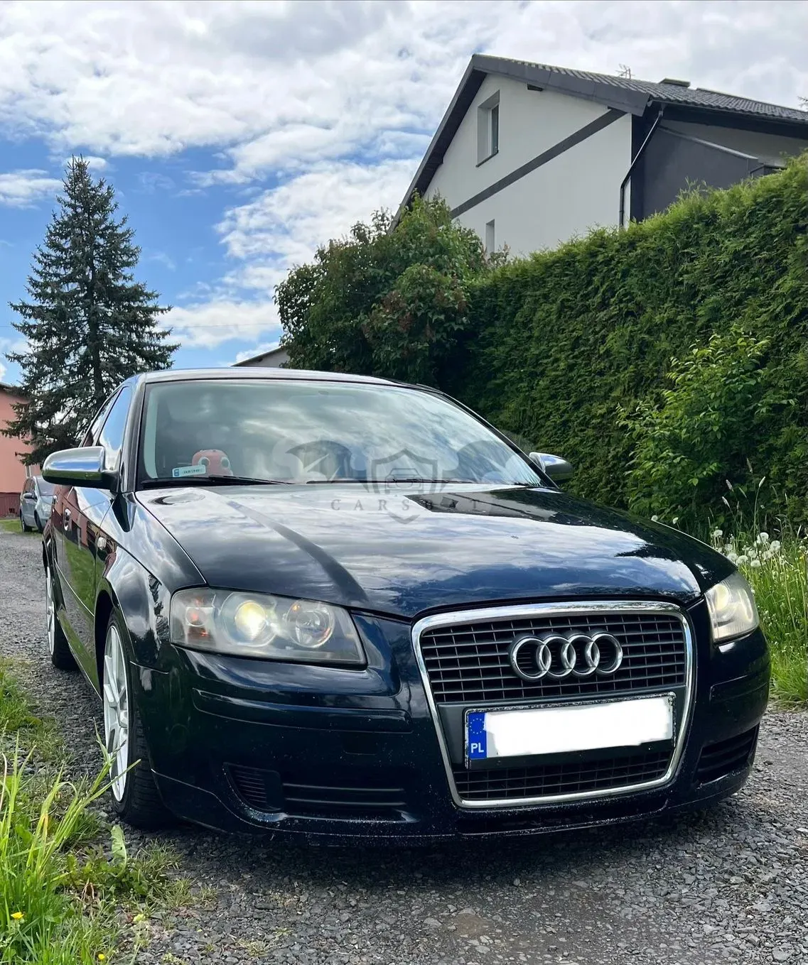 Audi A3 8P 1.9 TDI DPF Ambiente 2007