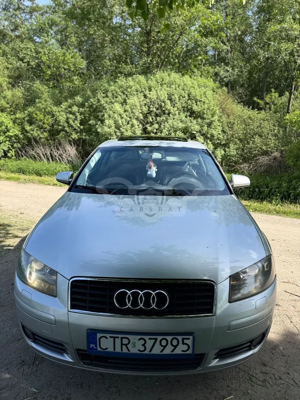 Audi A3 8P 2004
