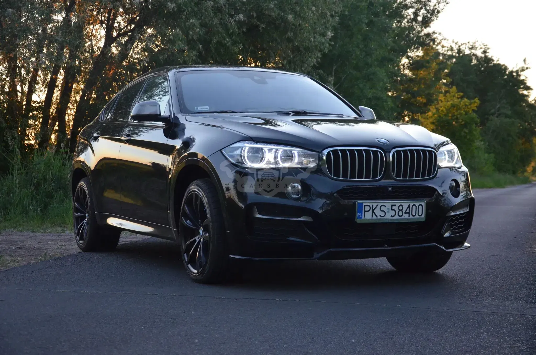 BMW X6 F16 M50d 2017