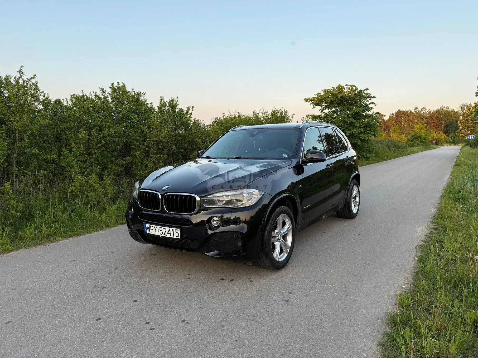BMW X5 F15 xDrive25d 2016