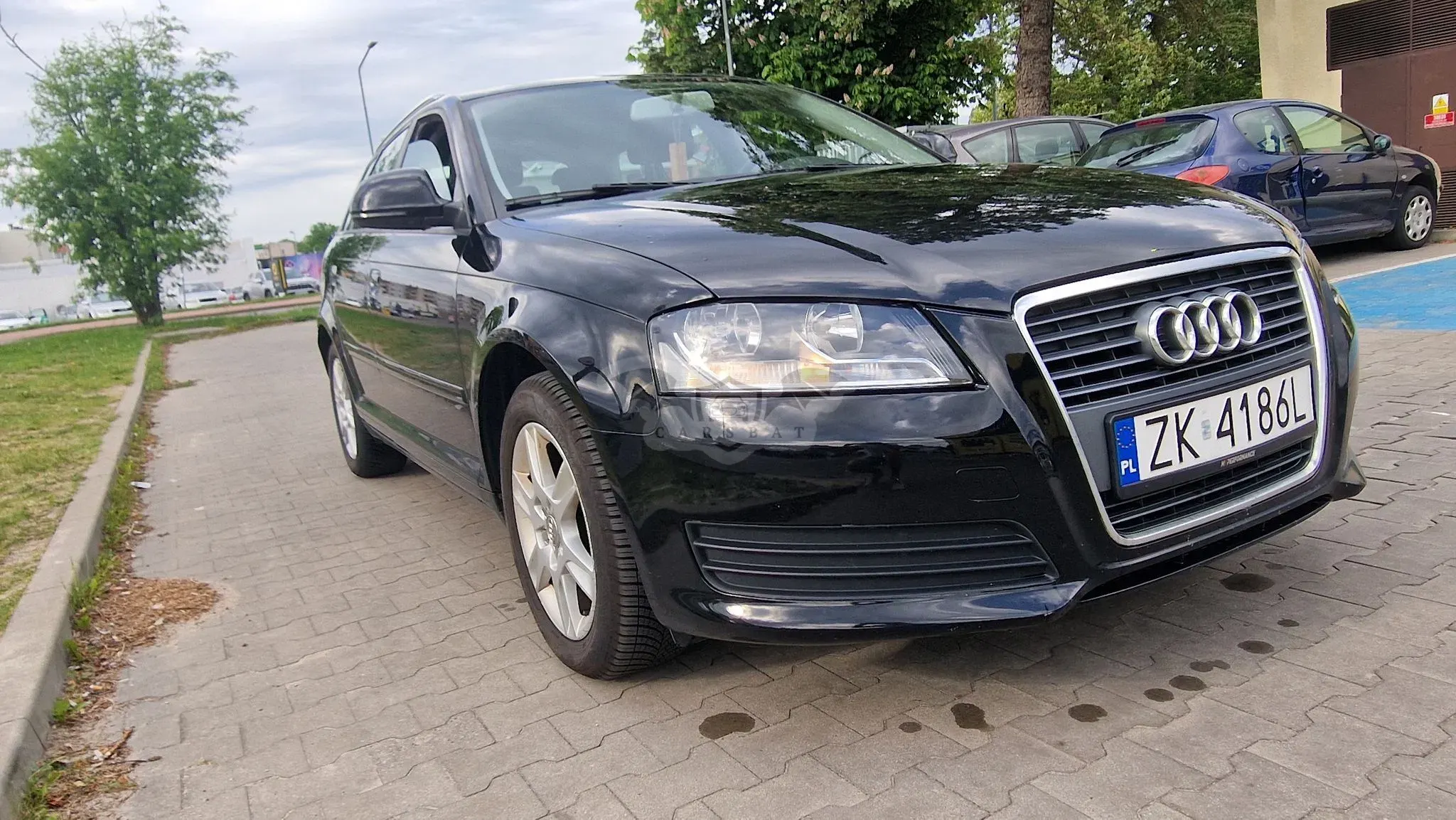 Audi A3 8P 1.6 TDI DPF Ambition 2009