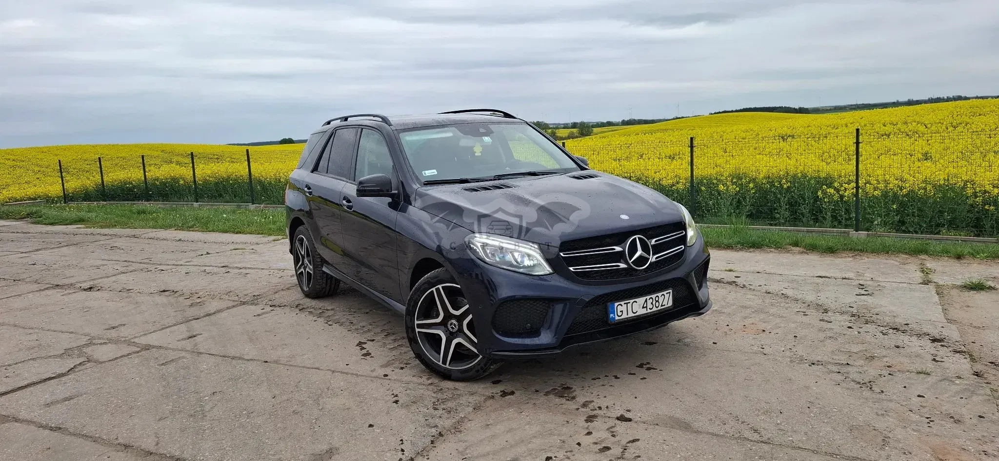 Mercedes-Benz GLE W166 250 d 4-Matic 2017