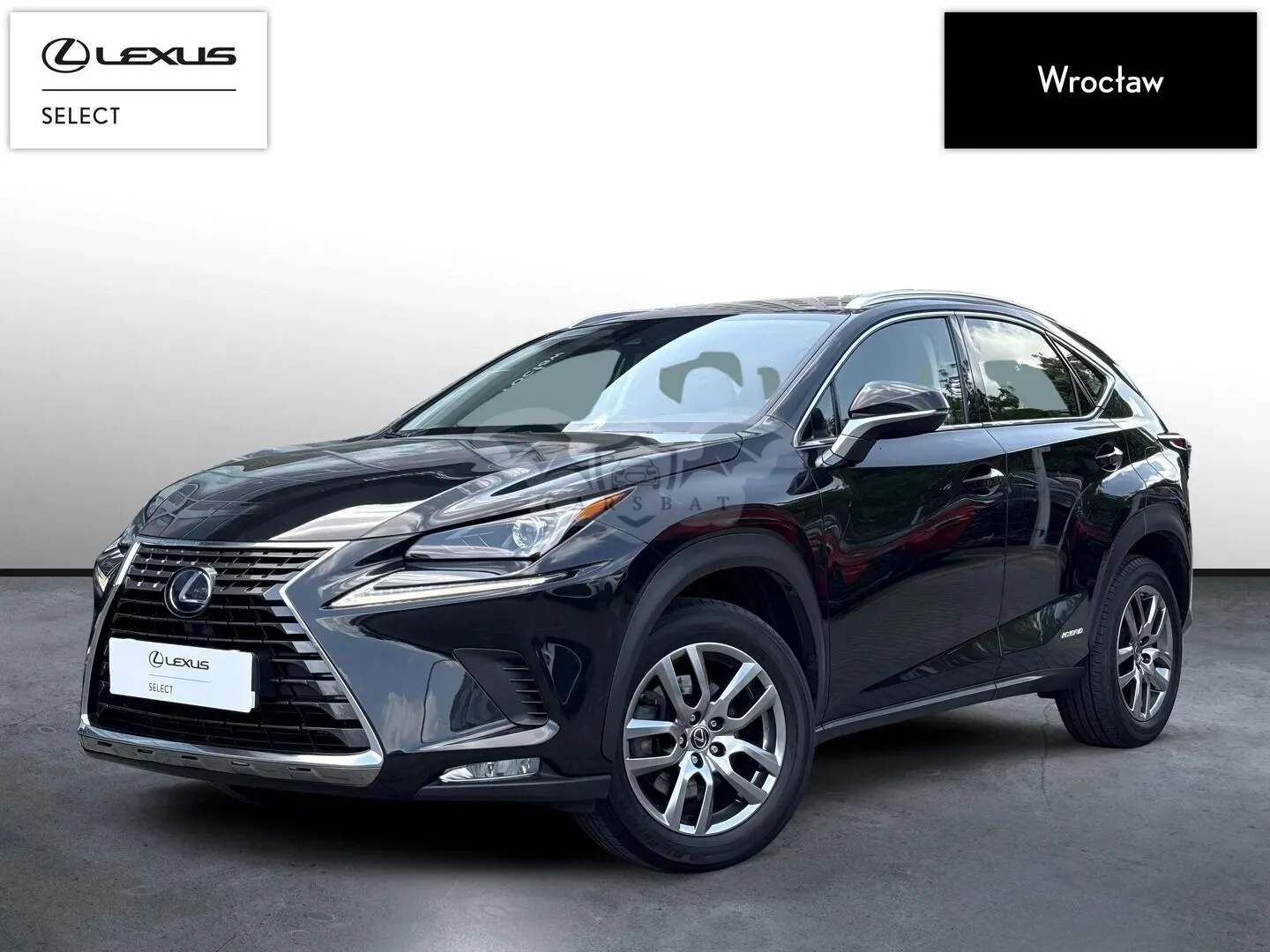 Lexus NX I 300h Business Edition AWD 2019