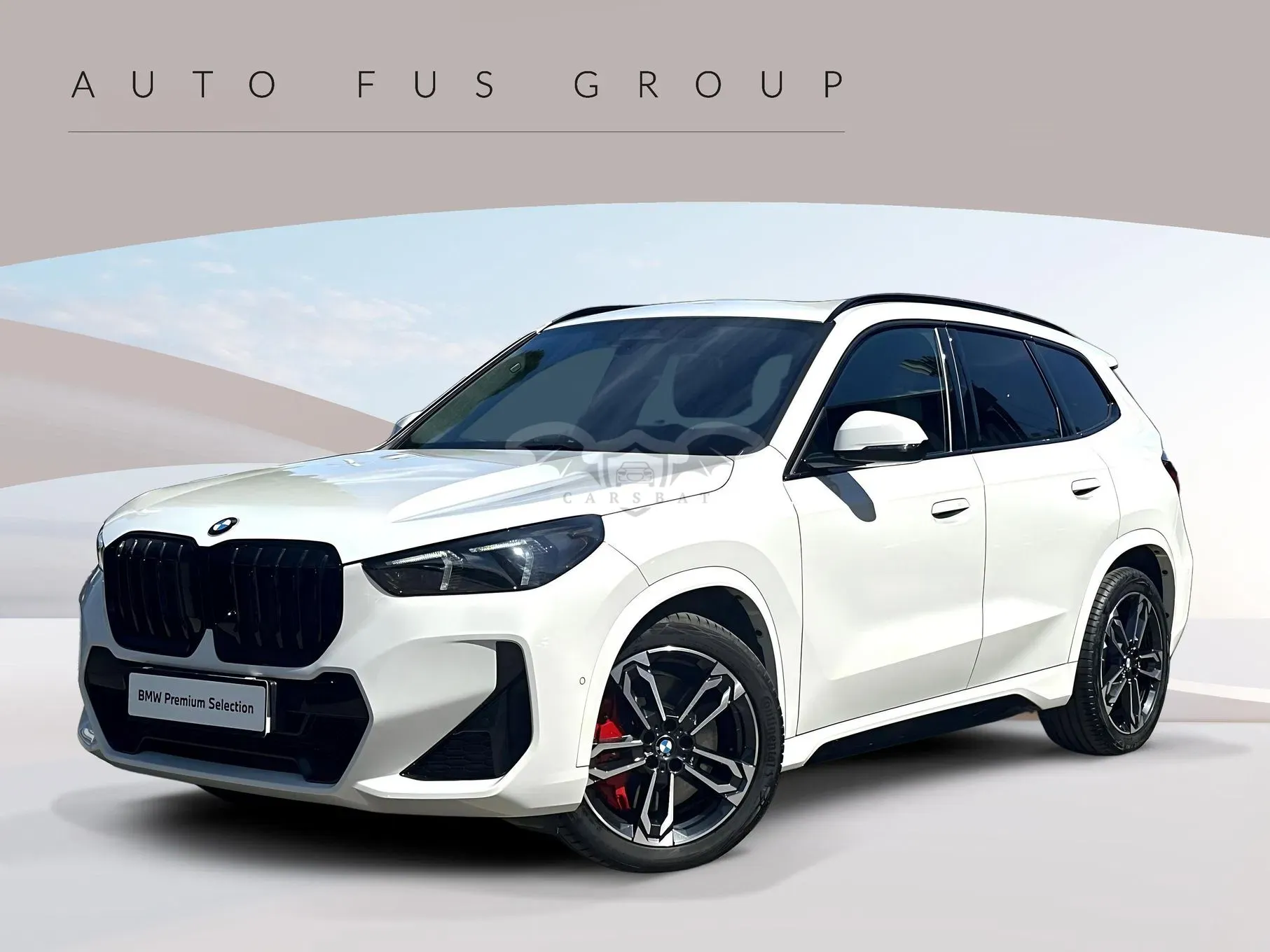 BMW X1 U11 xDrive20d mHEV M Sport sport 2025
