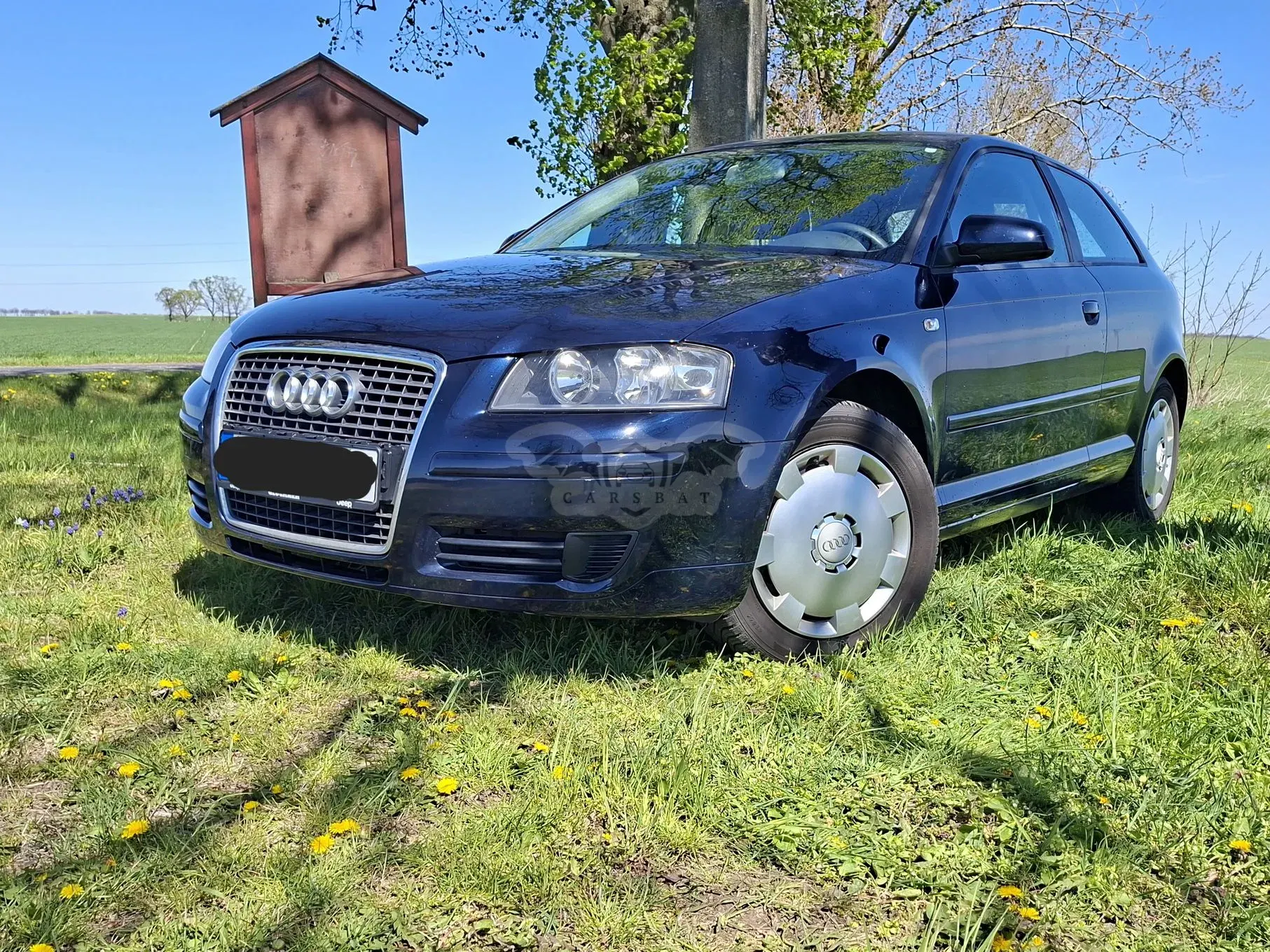 Audi A3 8P 2006
