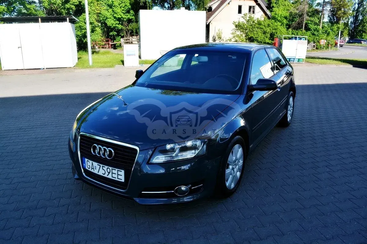 Audi A3 8P 1.6 TDI 99g DPF 2011