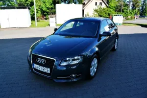 Audi A3 8P 1.6 TDI 99g DPF 2011