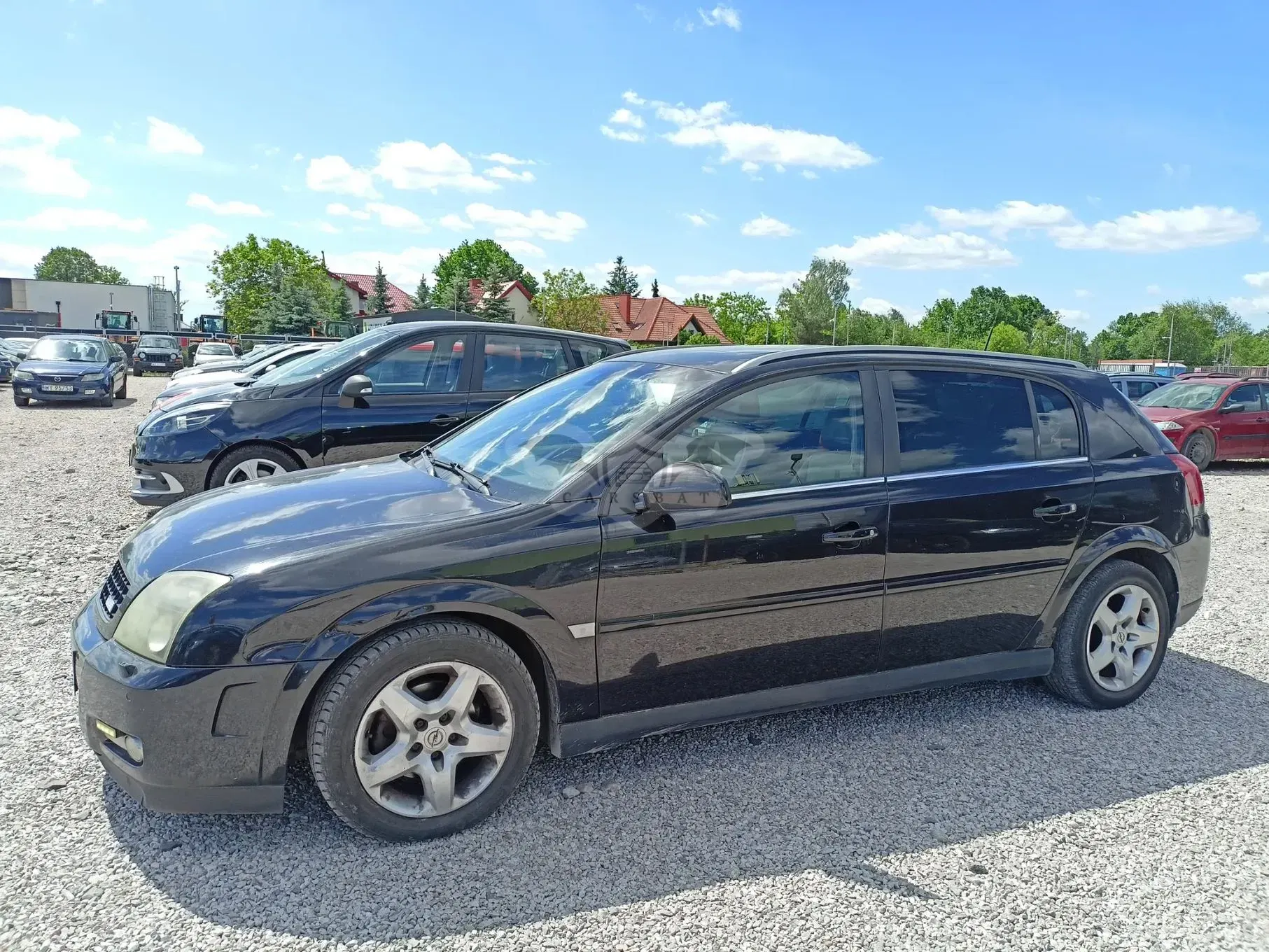 Opel Signum 2005