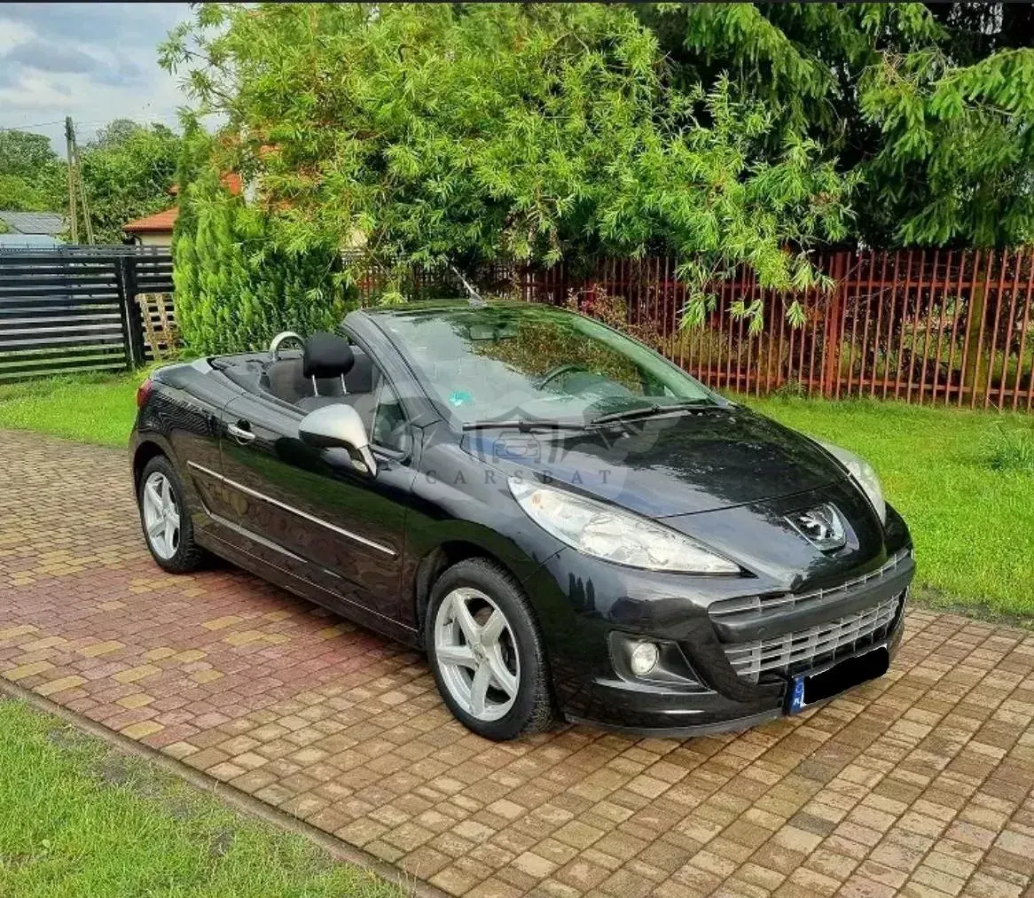 Peugeot 207 2010