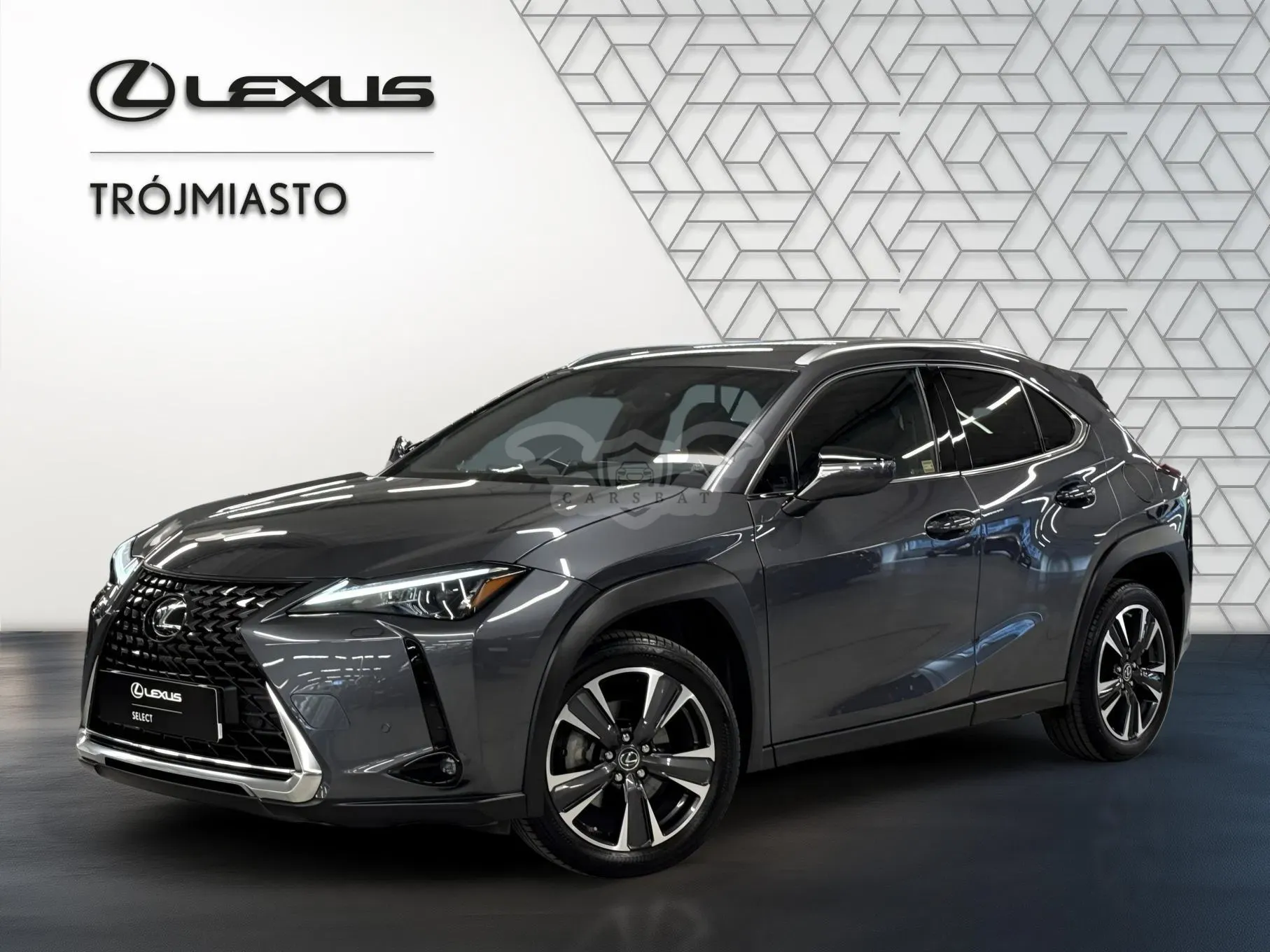 Lexus UX 250h GPF Business 2WD 2023