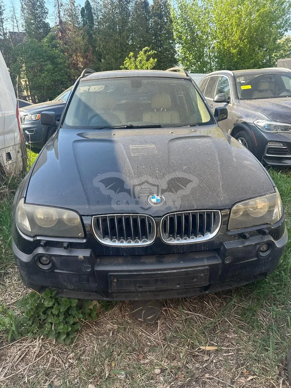 BMW X3 E83 xDrive30d 2006