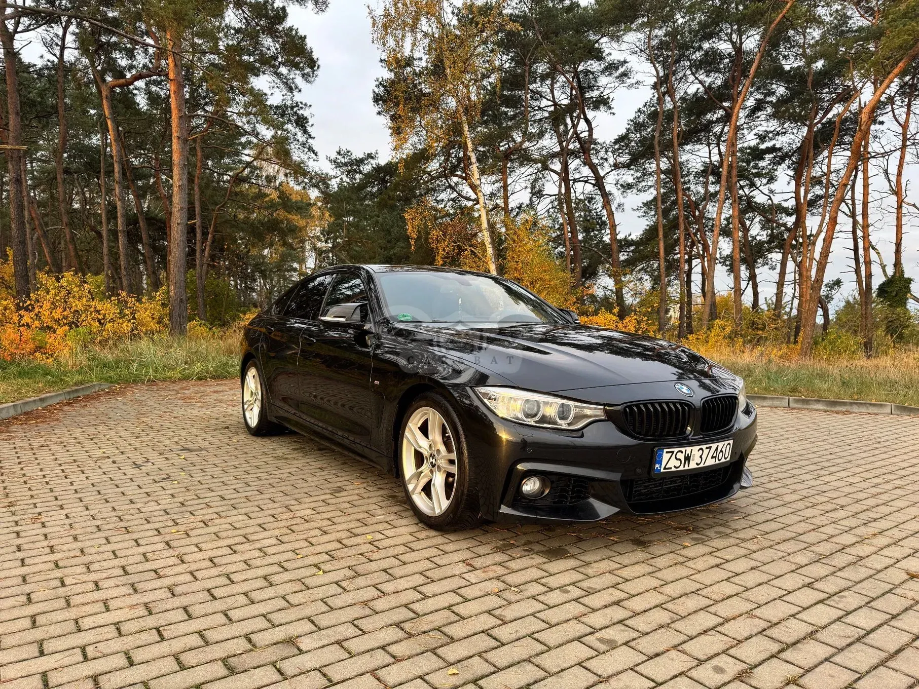 BMW 4 Series I F32/F33/F82 420d M Sport 2015