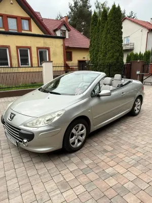 Peugeot 307 2007