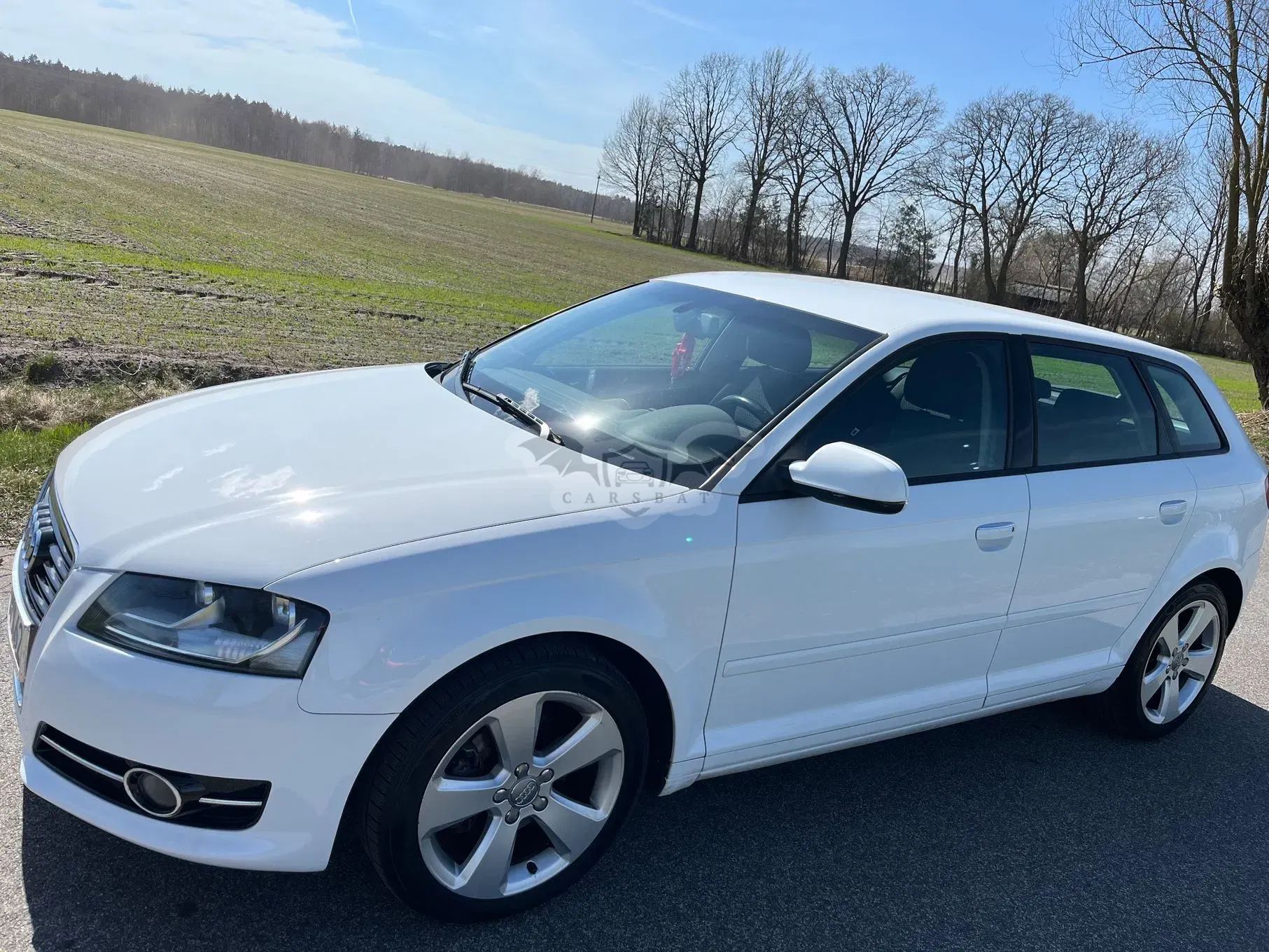 Audi A3 8P 2.0 TDI DPF Ambiente 2011