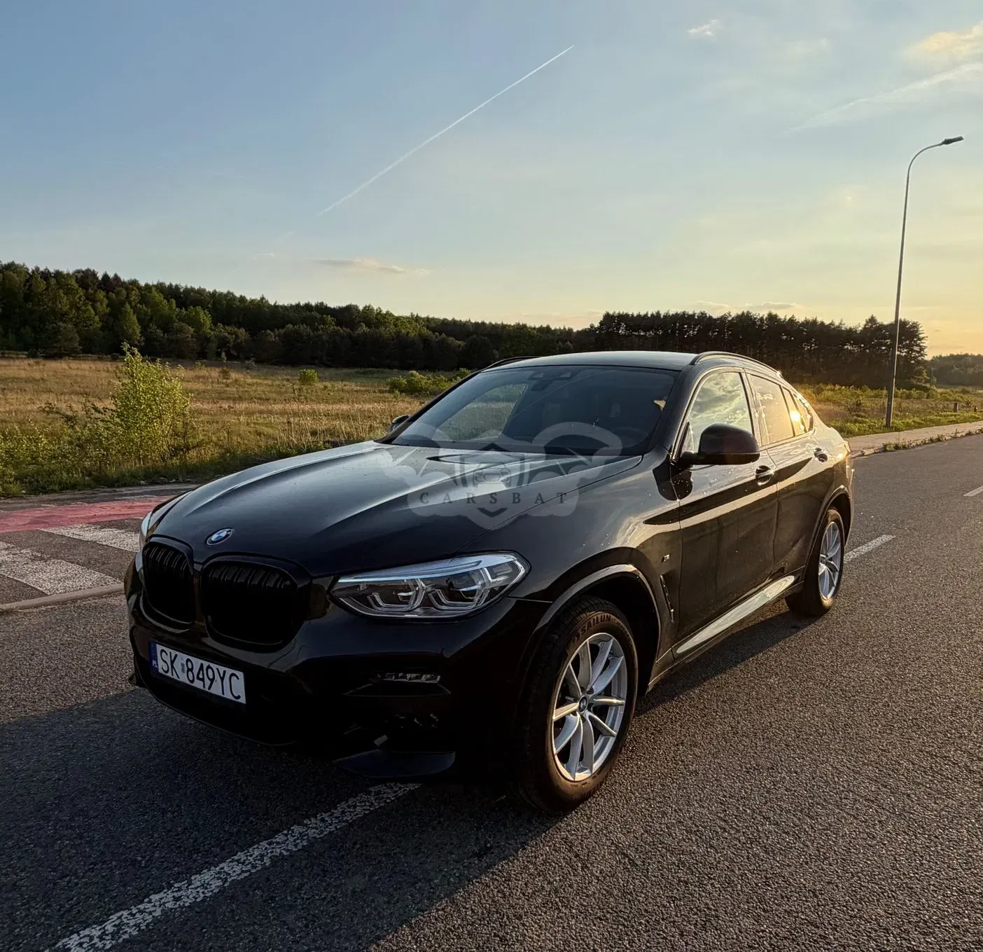 BMW X4 G02 xDrive30d mHEV M Sport sport 2021