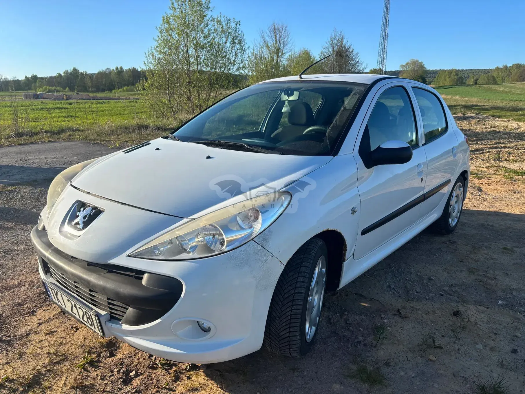 Peugeot 206 2011