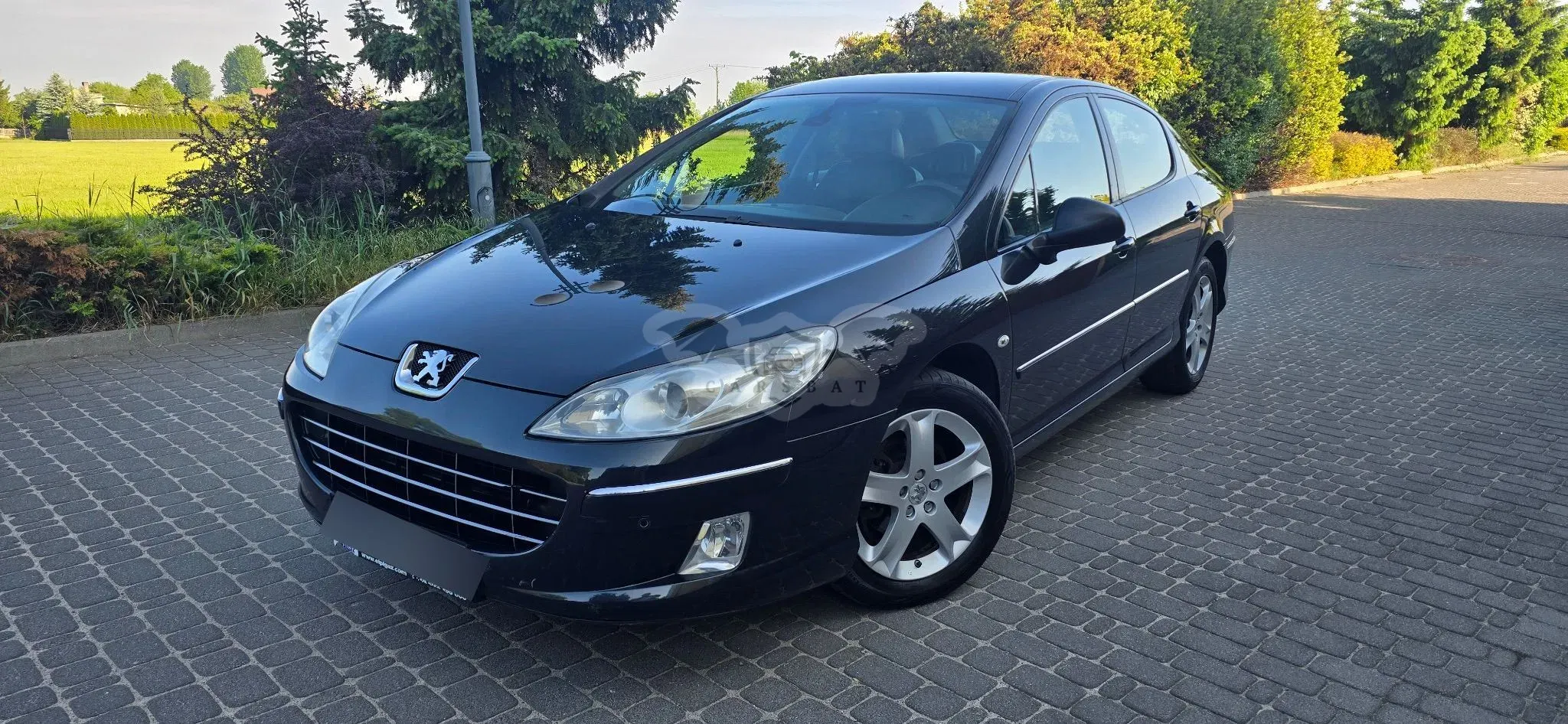 Peugeot 407 2.0 HDi Premium 2010