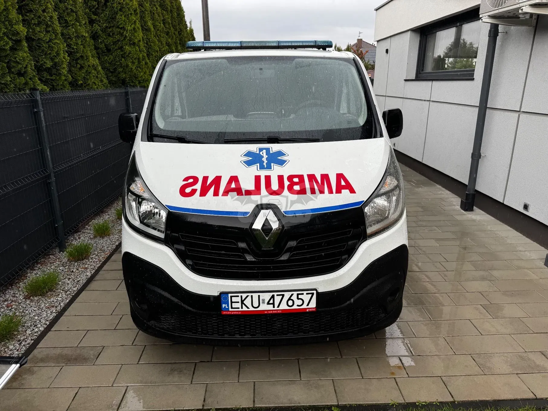 Renault Trafic 2019