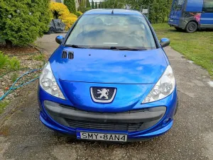 Peugeot 206 2010