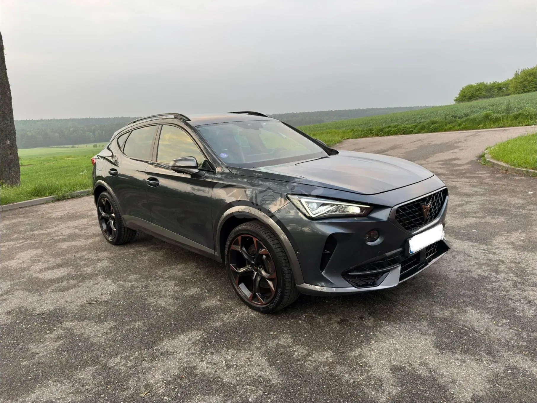 Cupra Formentor 2023
