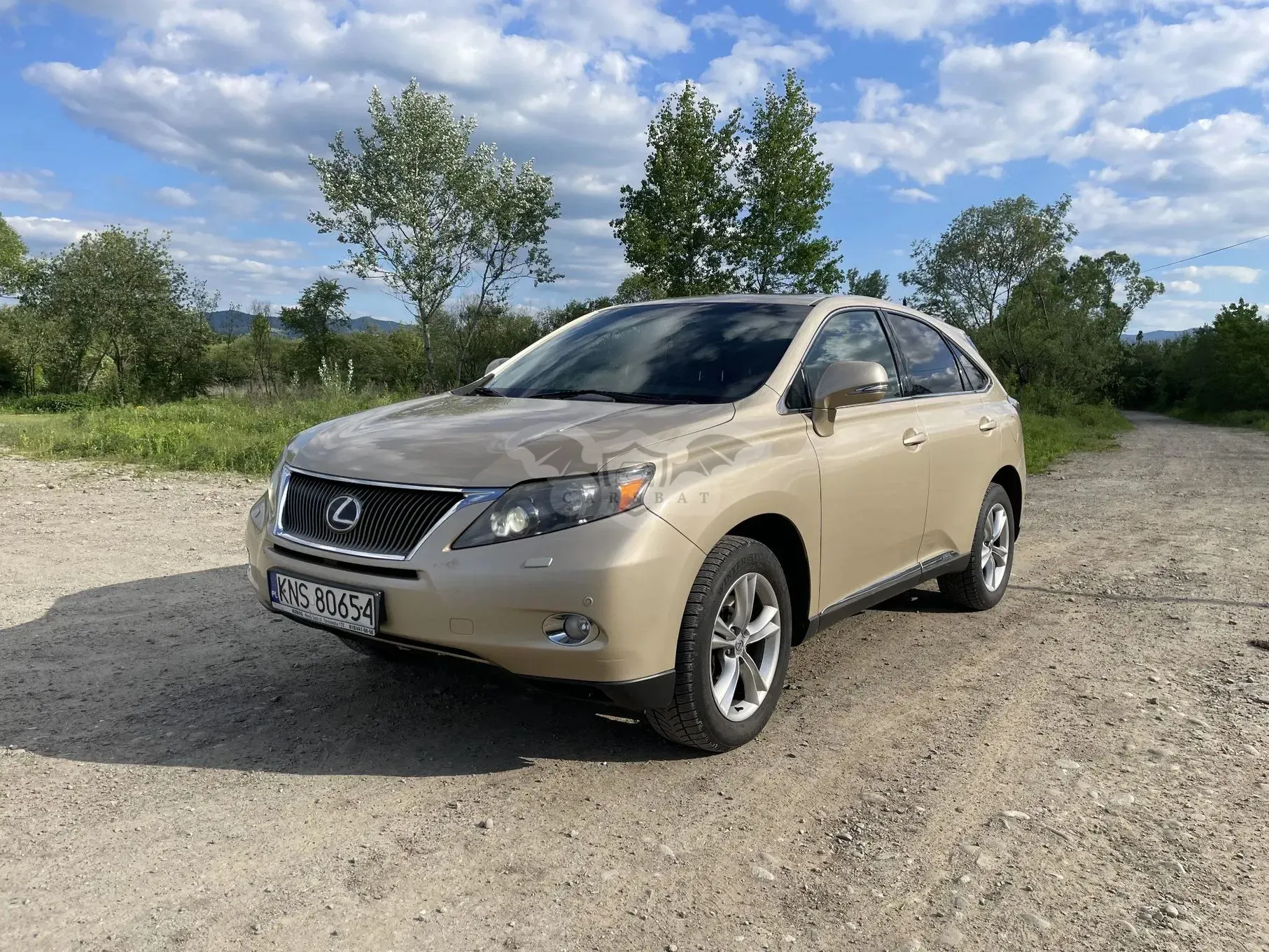 Lexus RX III 2009