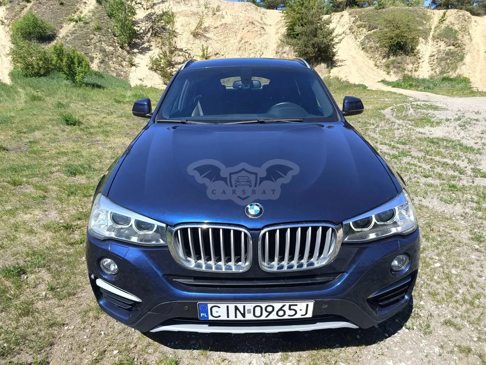 BMW X4 F26 xDrive20d xLine 2016
