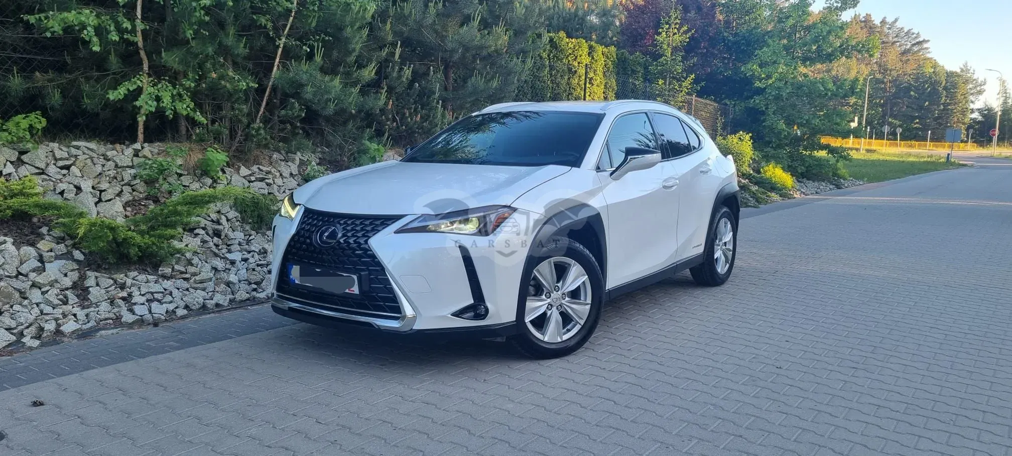 Lexus UX 250h F Sport 2WD 2022