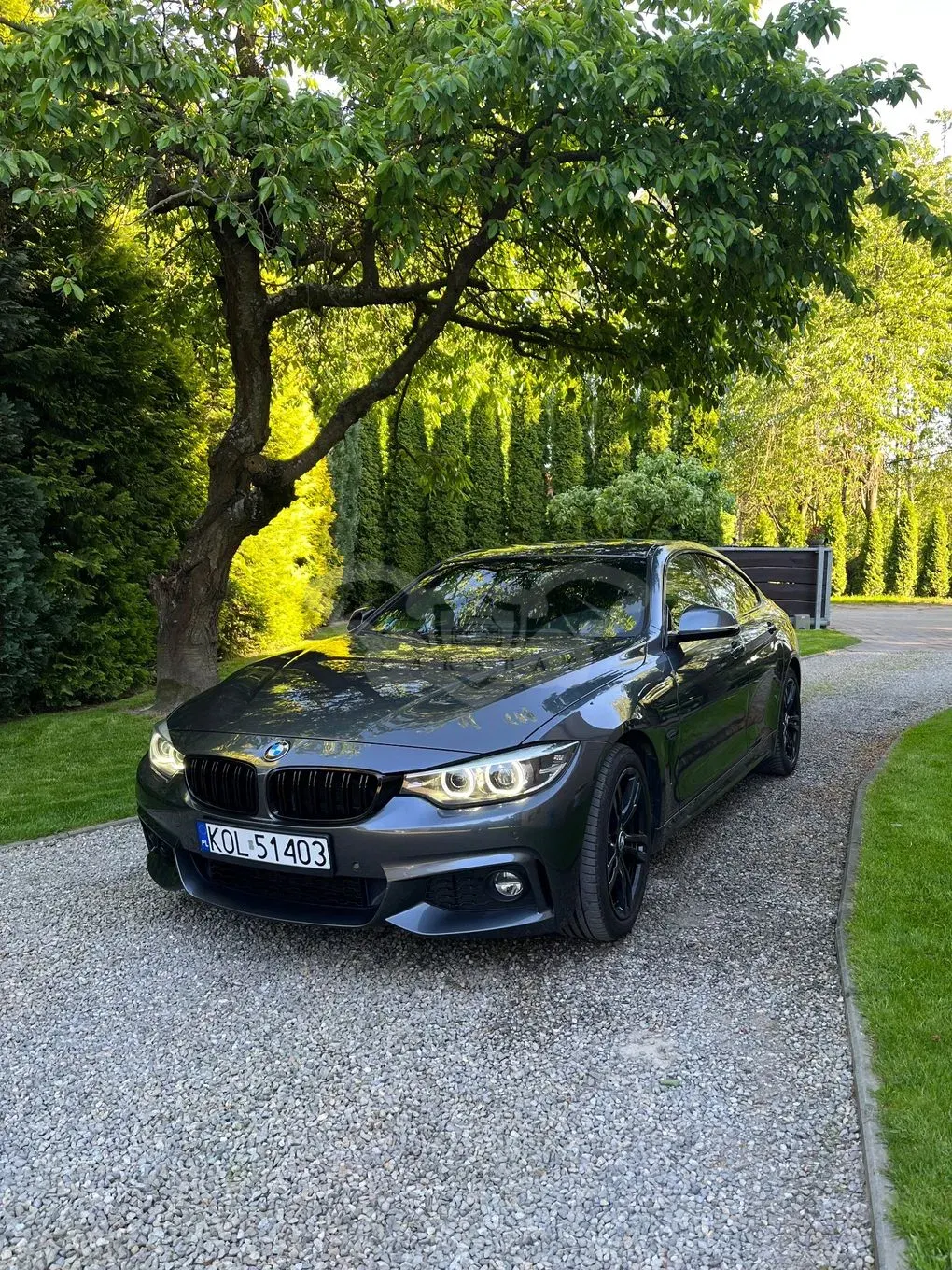 BMW 4 Series I F32/F33/F82 420i M Sport 2018