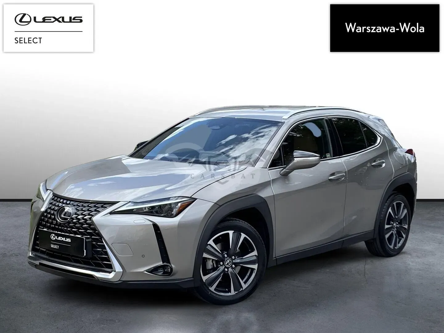 Lexus UX 300h Prestige 2025