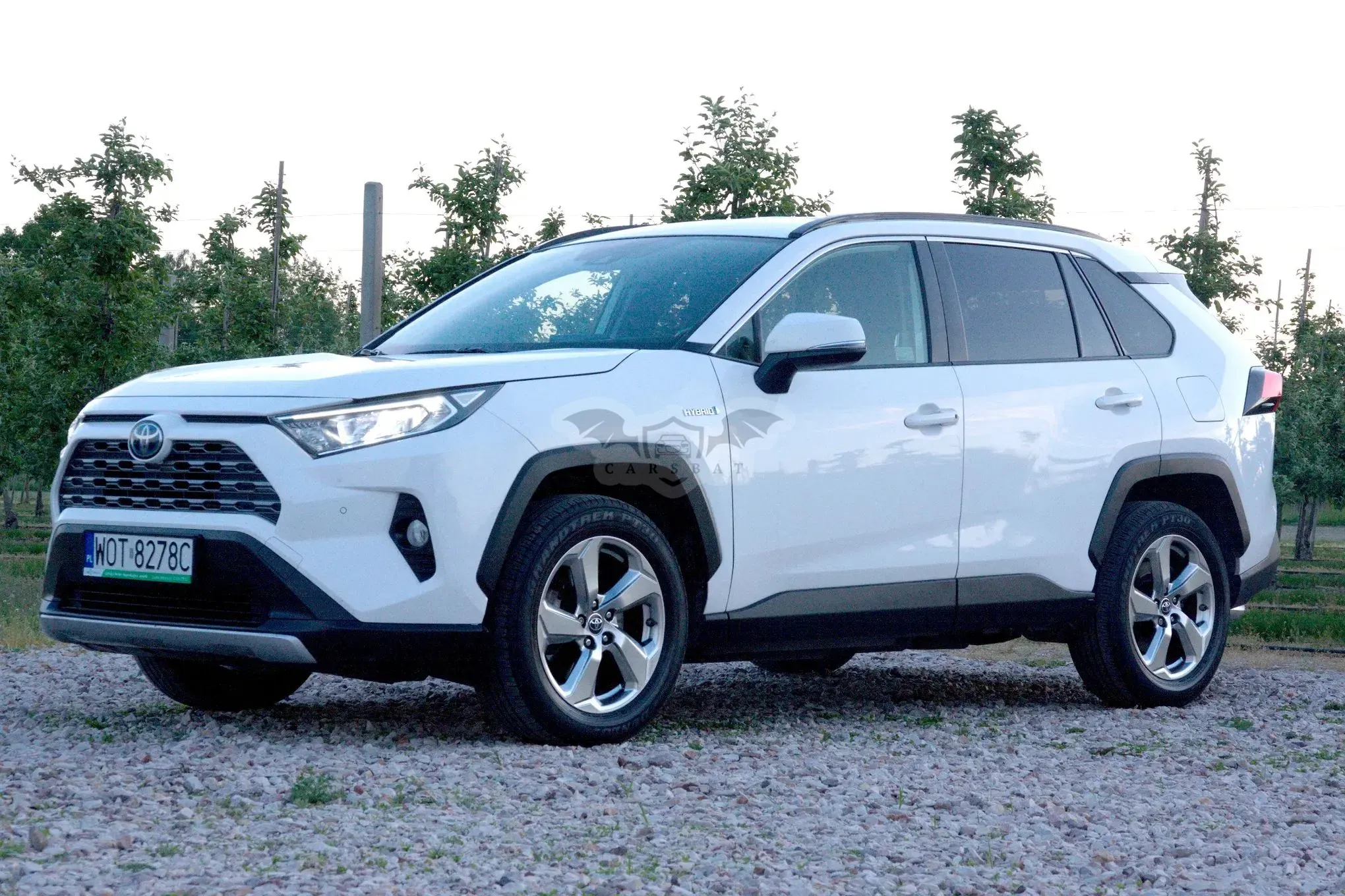 Toyota Rav4 V Hybrid Style 4x4 2019