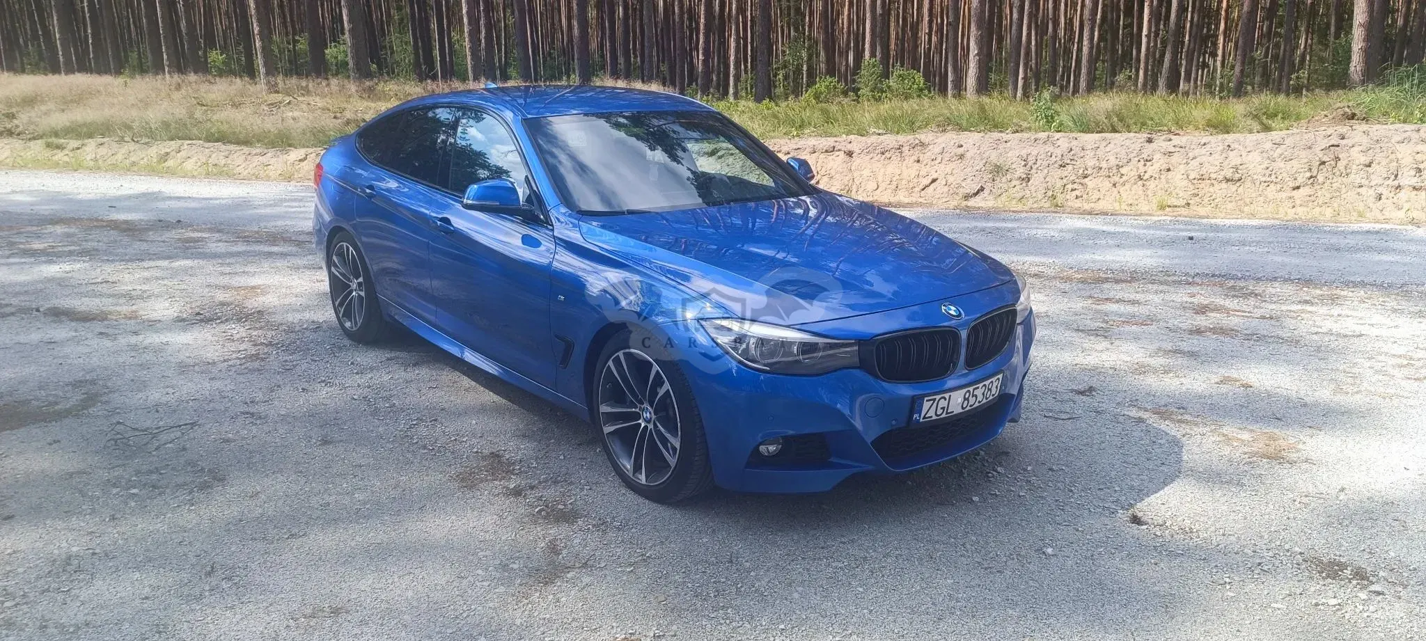 BMW 3 Series F30/F31 325d M Sport Sport 2016