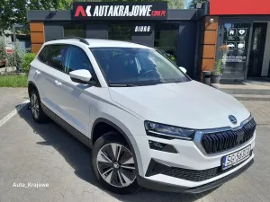 Skoda Karoq 2.0 TDI SCR 4x2 Ambition DSG 2023