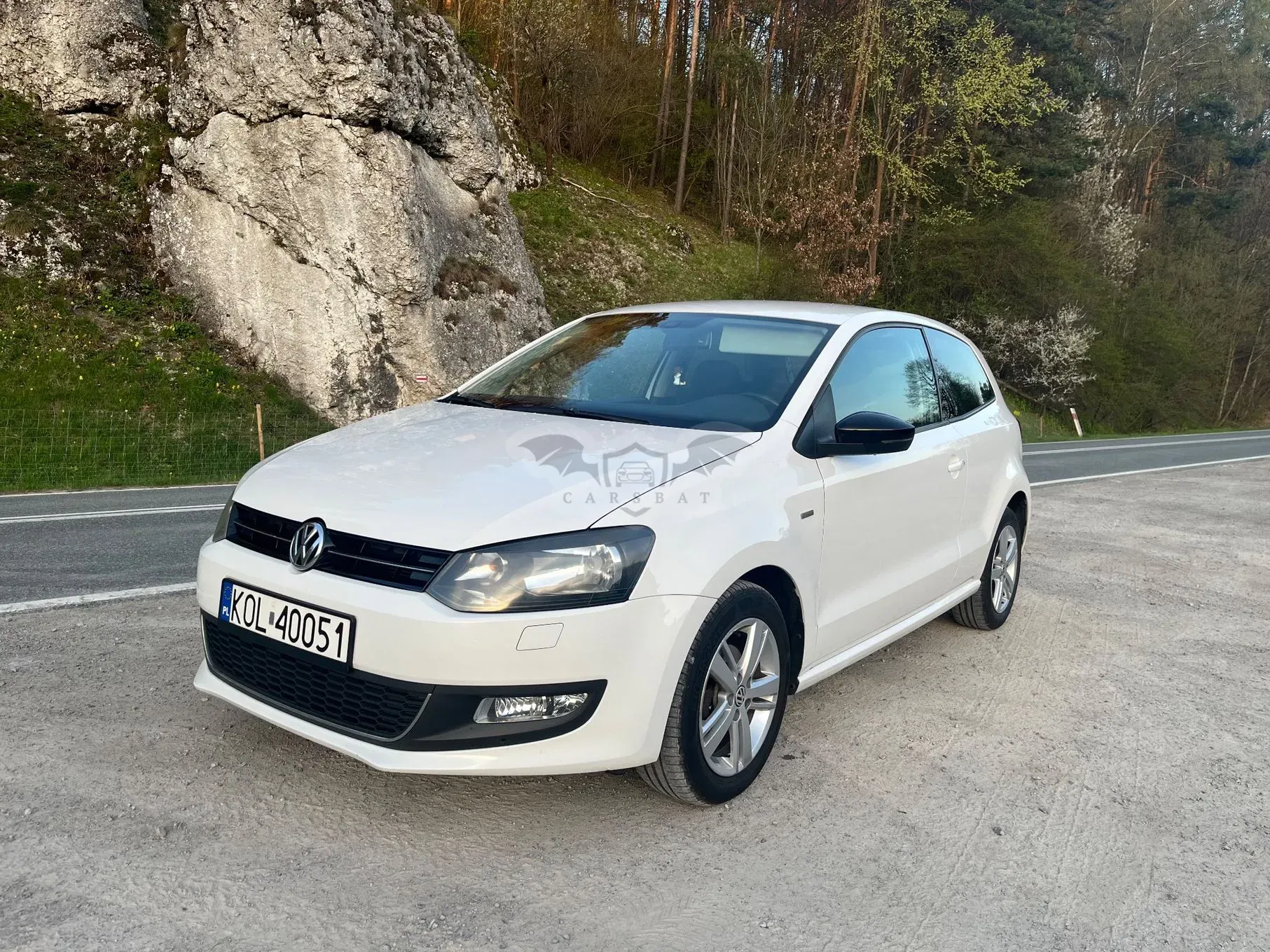 Volkswagen Polo V 2012