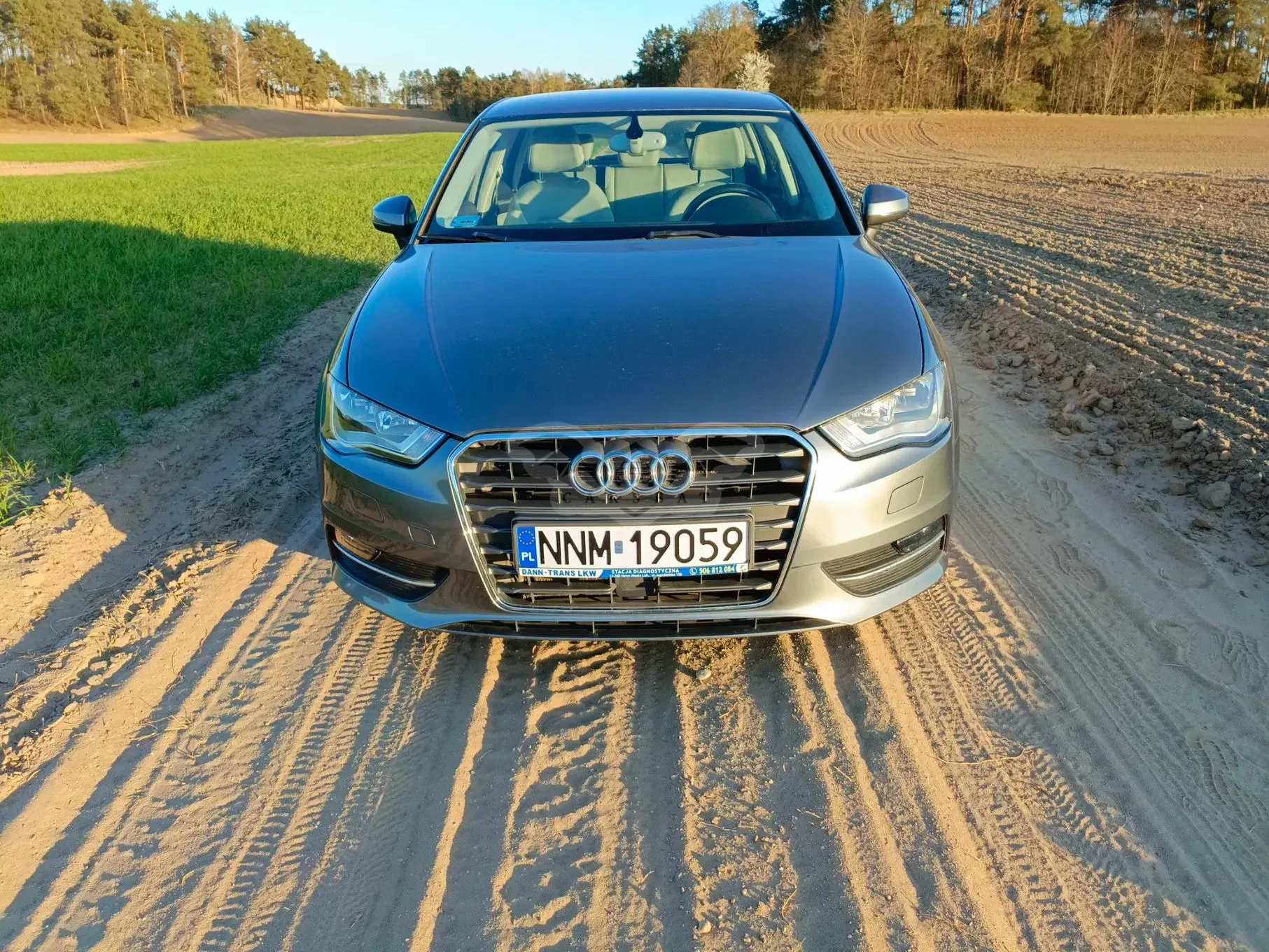 Audi A3 8V 2.0 TDI Ambition 2013