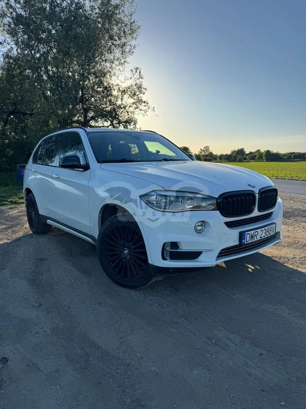 BMW X5 F15 xDrive25d 2017