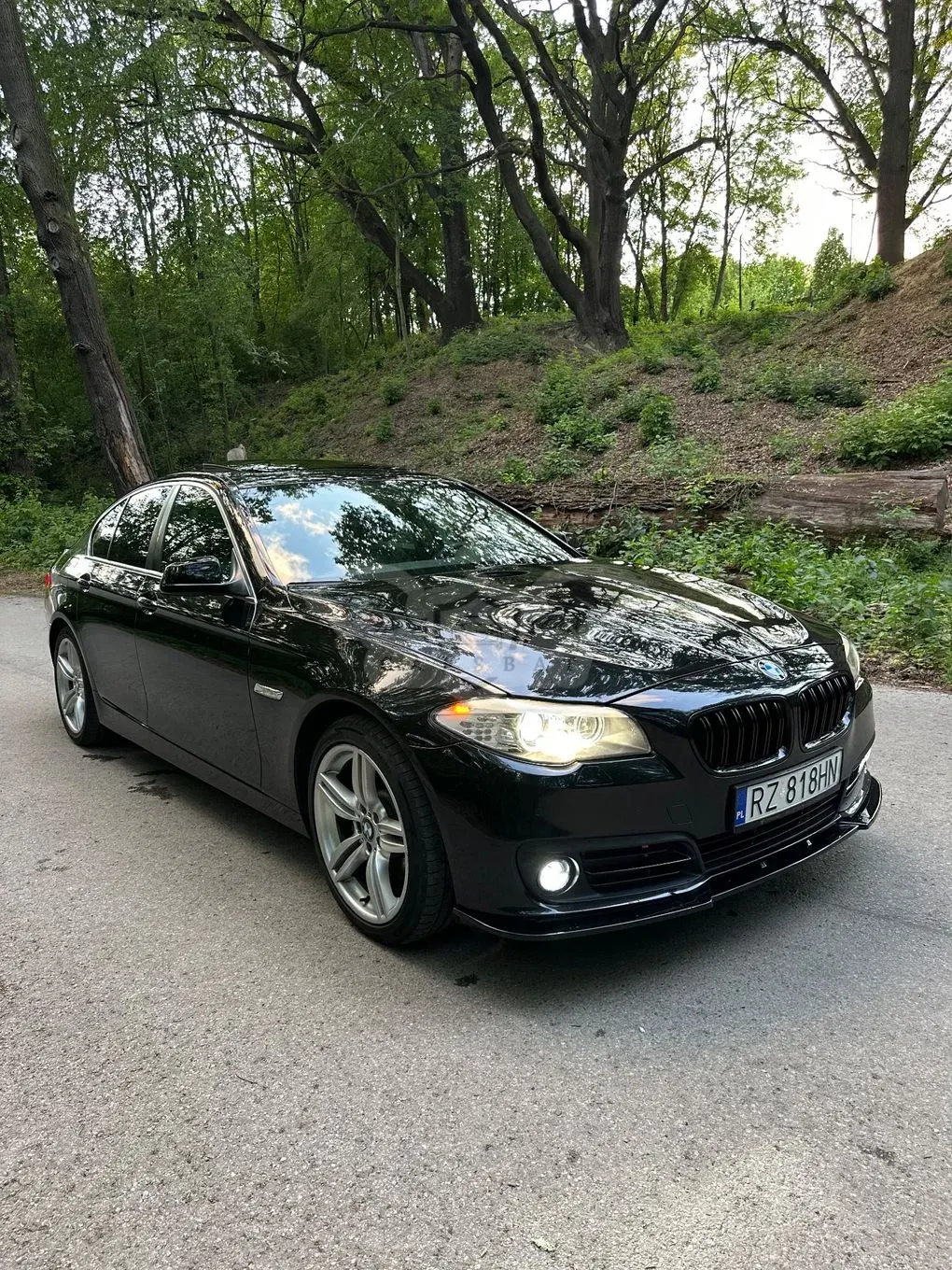 BMW 5 Series F10/F11 525d 2010