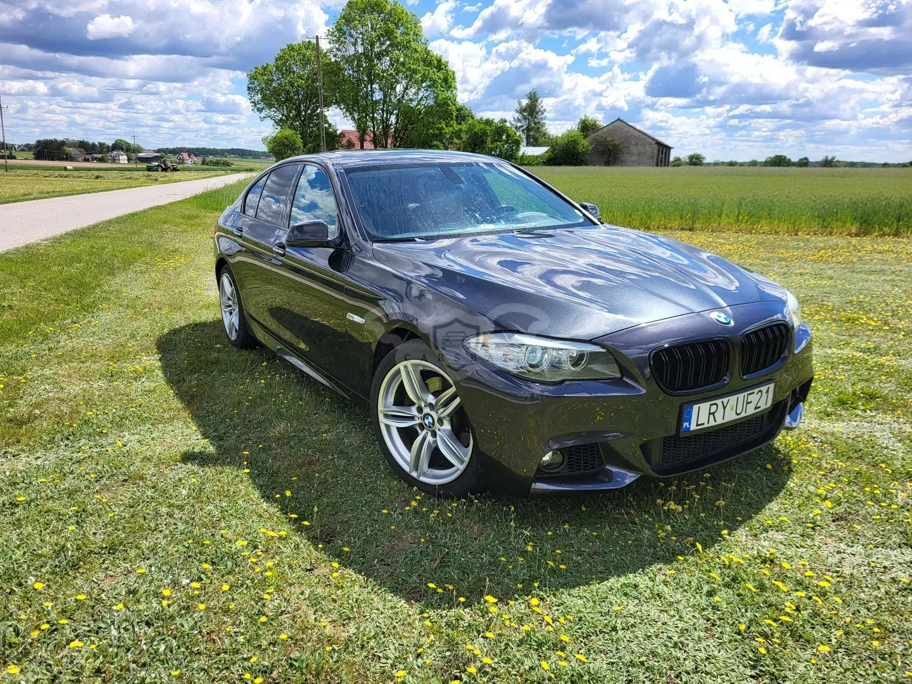 BMW 5 Series F10/F11 528i 2010