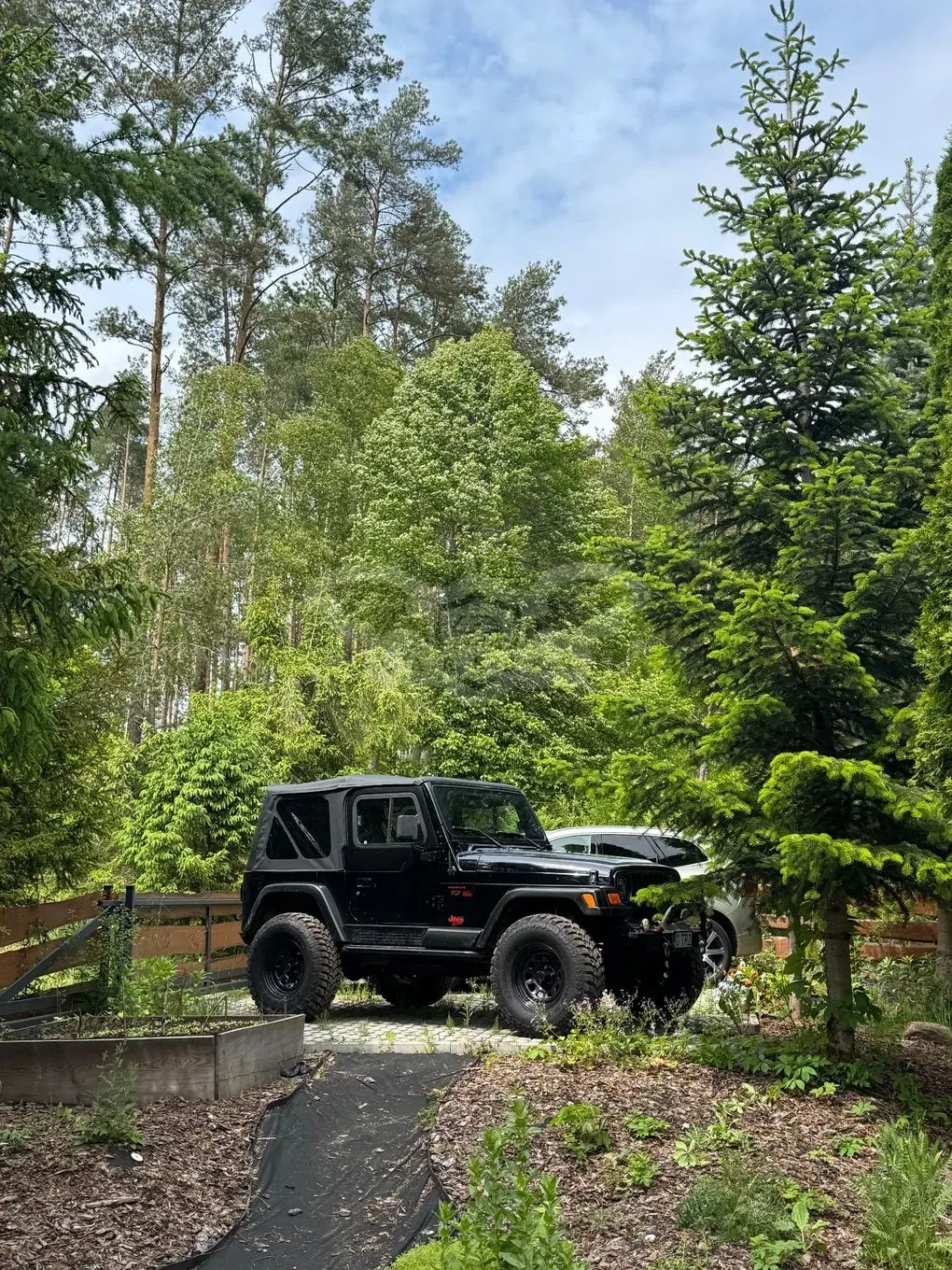 Jeep Wrangler II 4.0 Sport 2003