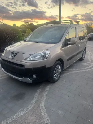 Peugeot Partner II 2009