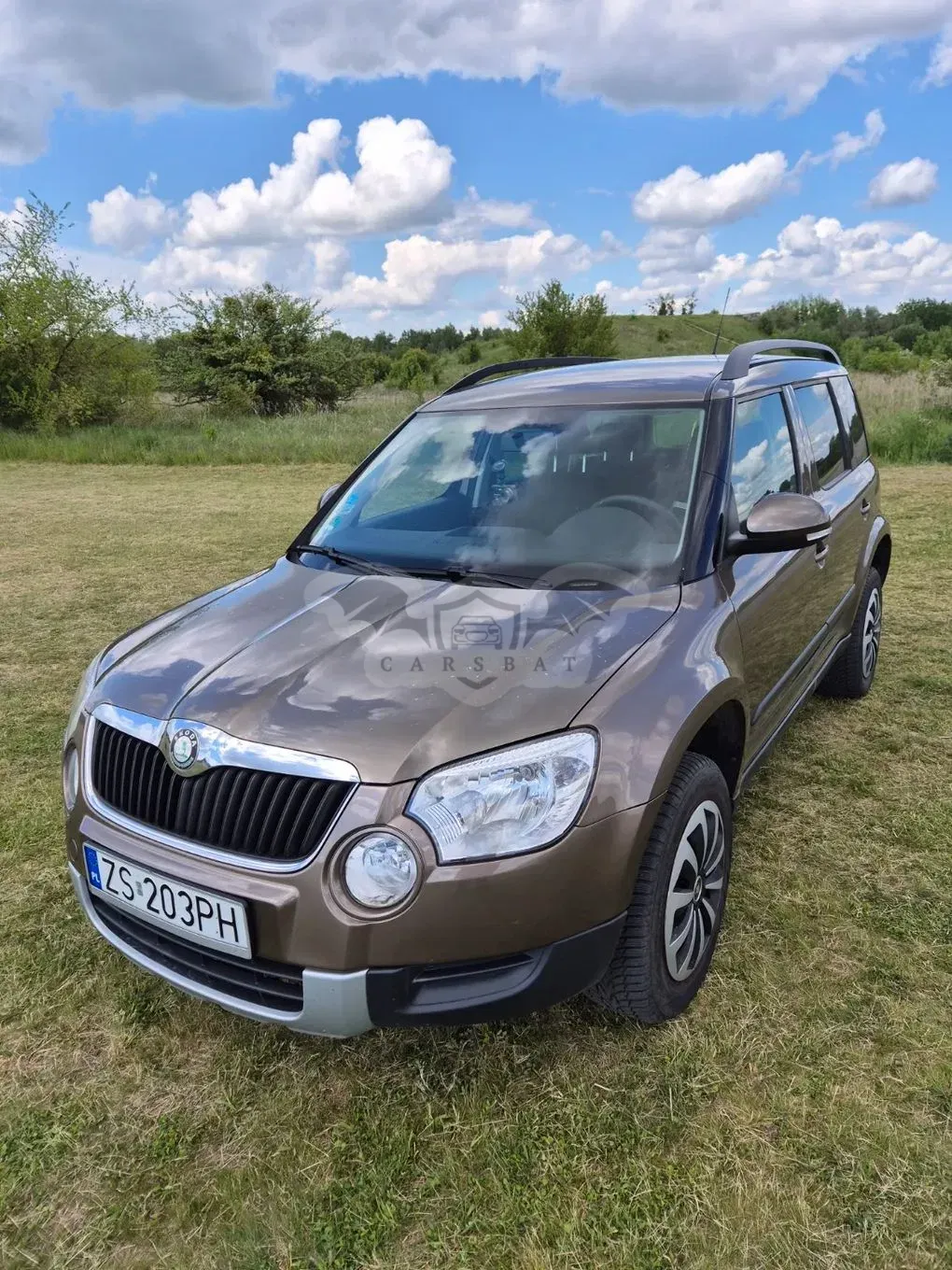 Skoda Yeti 2.0 TDI DPF Elegance Green tec 2010