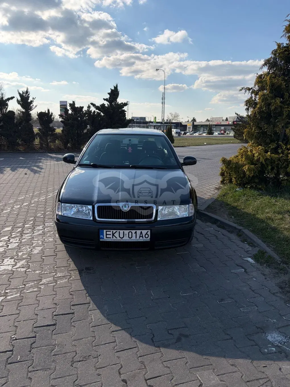 Skoda Octavia I 1.9 TDI Tour 2010