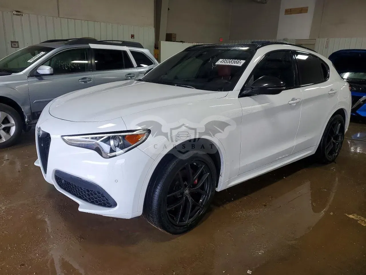 Alfa Romeo Stelvio 2.0 Turbo 16V AT8-Q4 Ti 2020