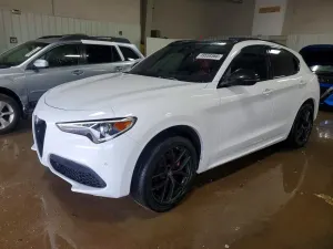 Alfa Romeo Stelvio 2.0 Turbo 16V AT8-Q4 Ti 2020