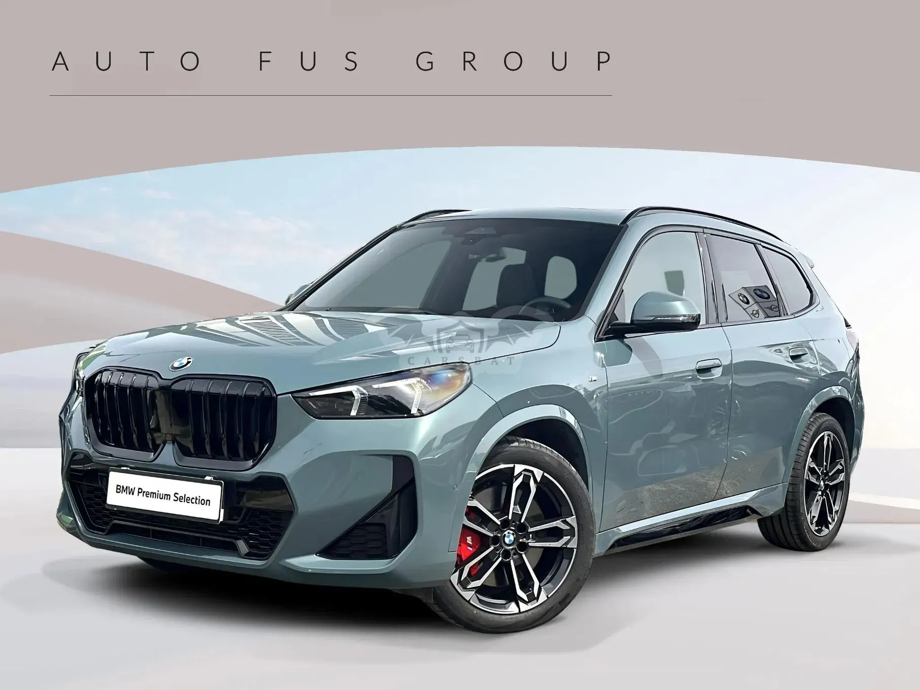 BMW X1 U11 xDrive20d mHEV M Sport sport 2025
