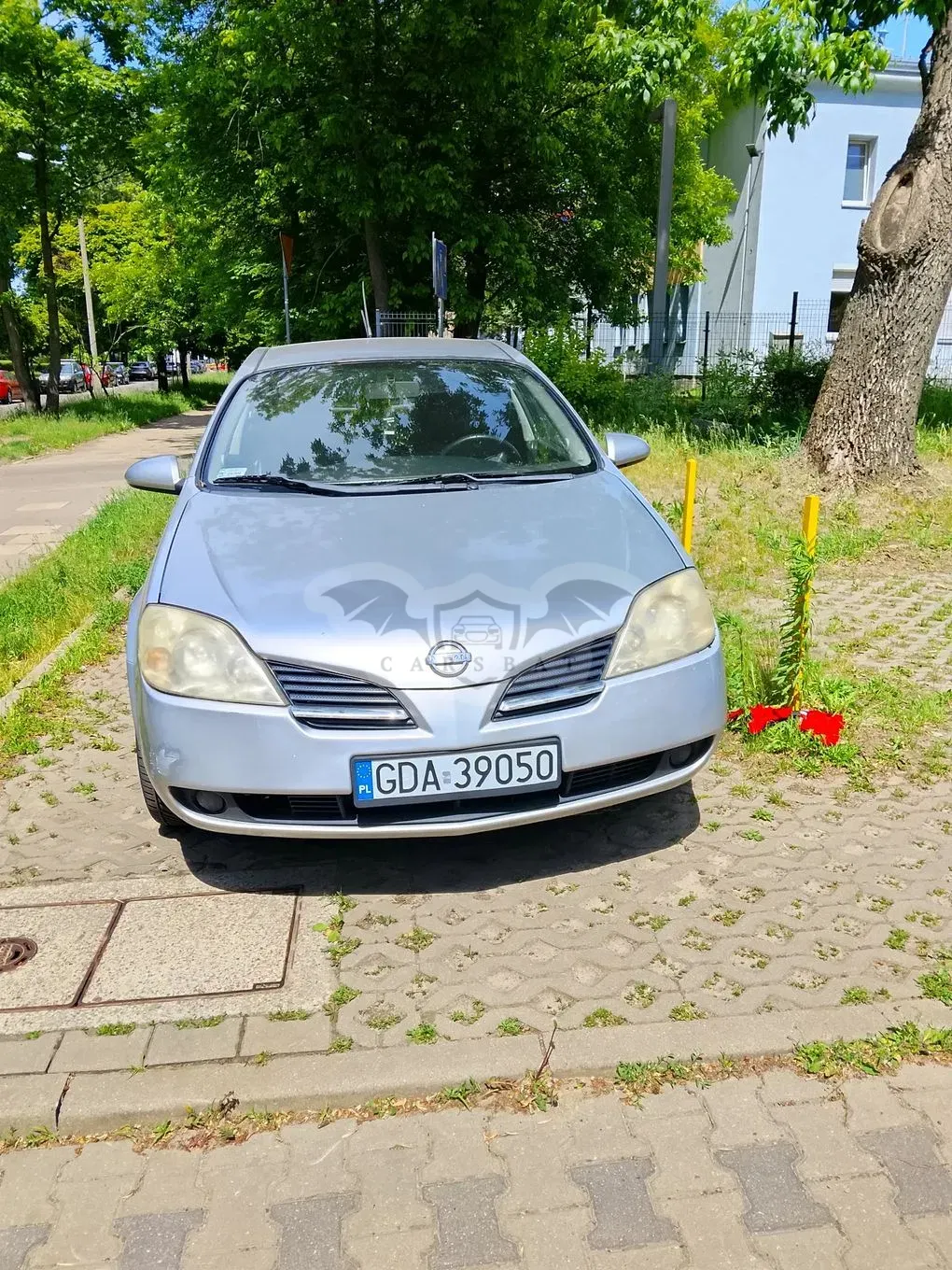 Nissan Primera P12 2.2 dCi Acenta 2004