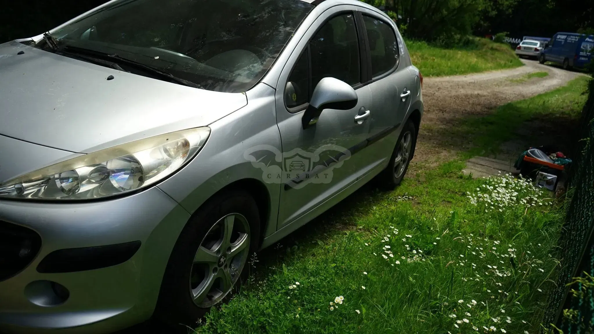 Peugeot 207 2007